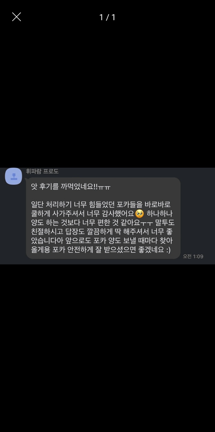 💗 포다삽 후기 10 💗